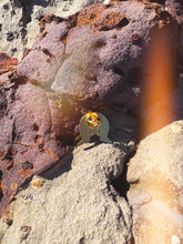 Load image into Gallery viewer, Torres Strait Enamel Pins